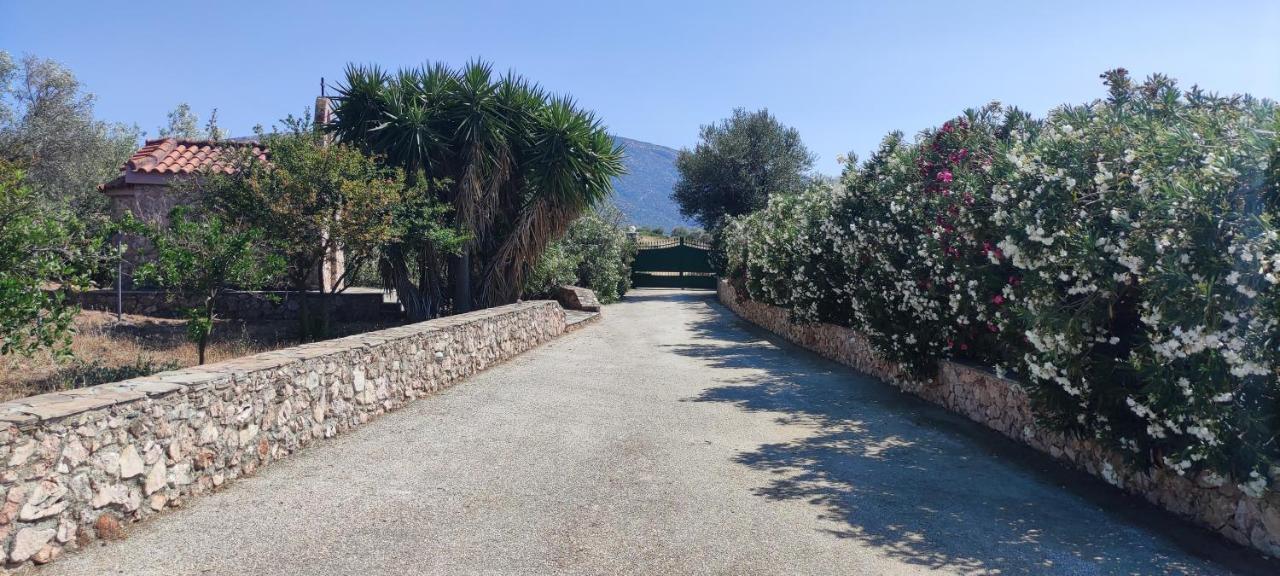 Ellie'S Stonehouse Gianapa, Porto Rafti, Greece, 190 03, Gr Βίλα Εξωτερικό φωτογραφία